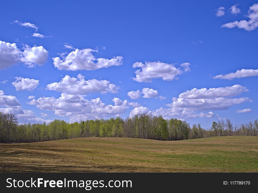 Sky, Cloud, Grassland, Ecosystem