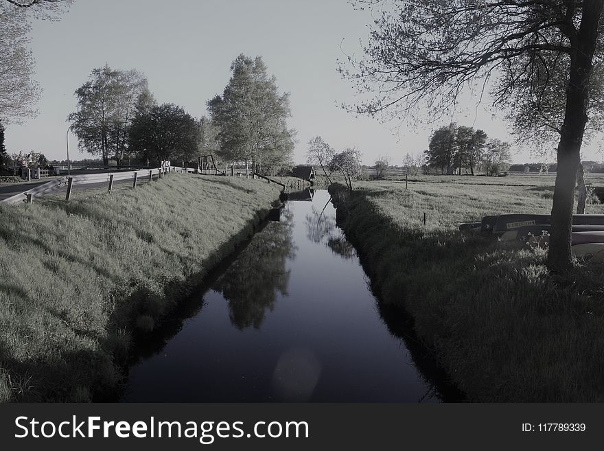 Waterway, Reflection, Water, Tree