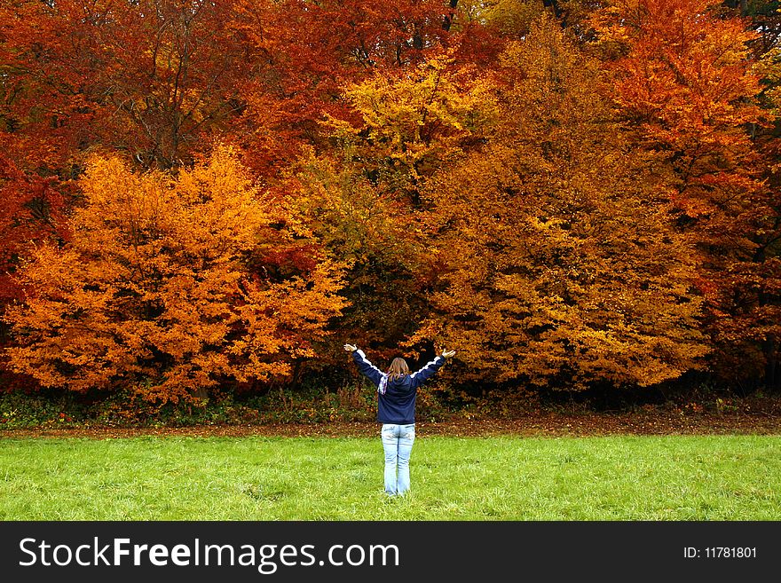 Girl standing in front of a wall of autumn color in a German forest. Girl standing in front of a wall of autumn color in a German forest.