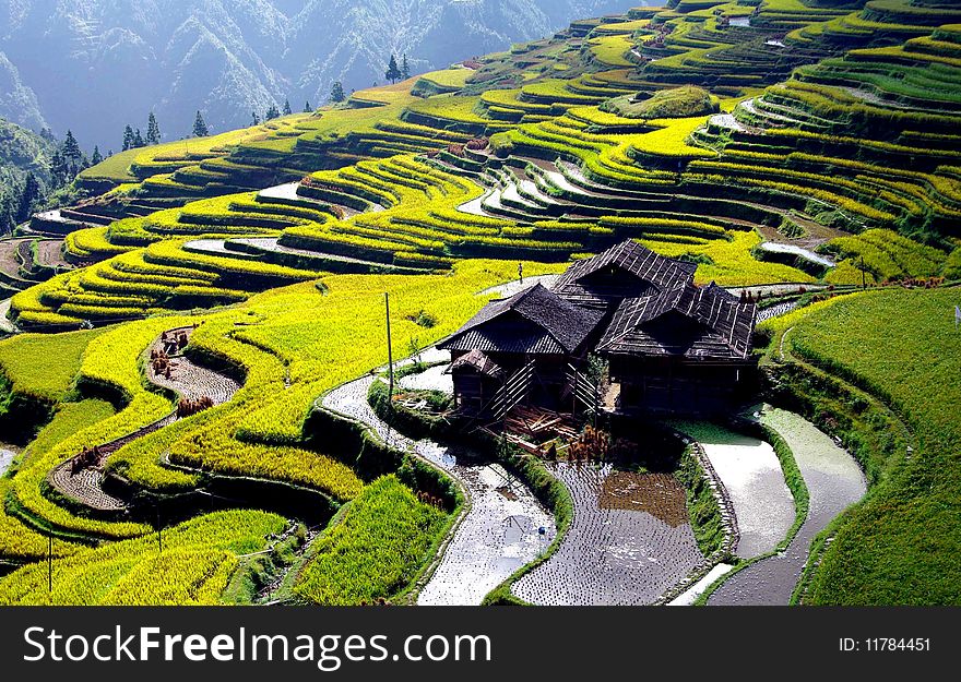 Take from Guizhou province in China. Take from Guizhou province in China.