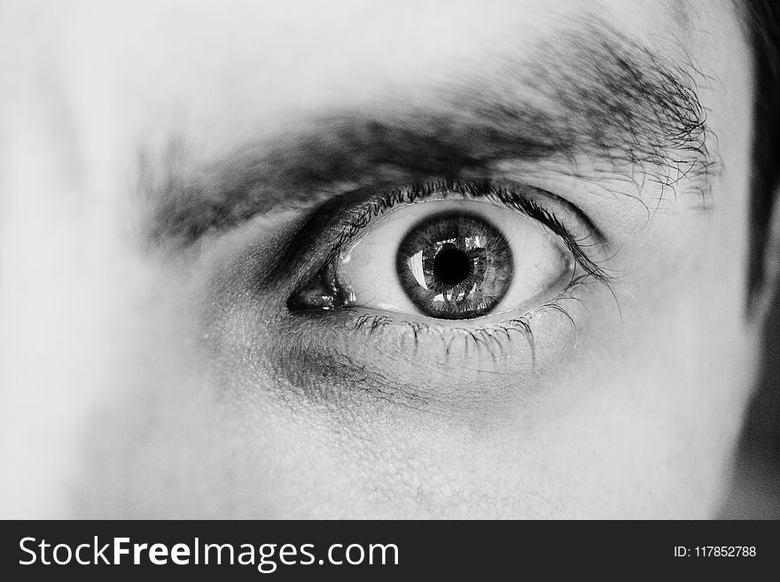 Grayscale Photo of Person&#x27;s Left Eye
