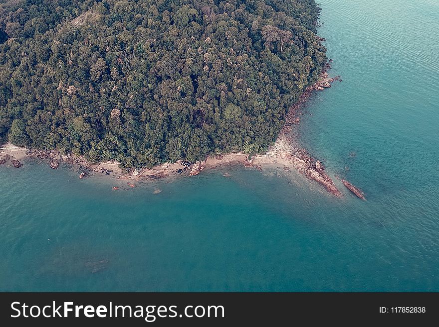 Aerial Photography of Green Trees Near Body of Water