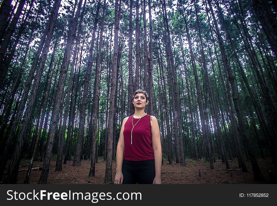 Woman Wearing Maroon Tank Top and Black Bottoms Surrounded With Brown Trees