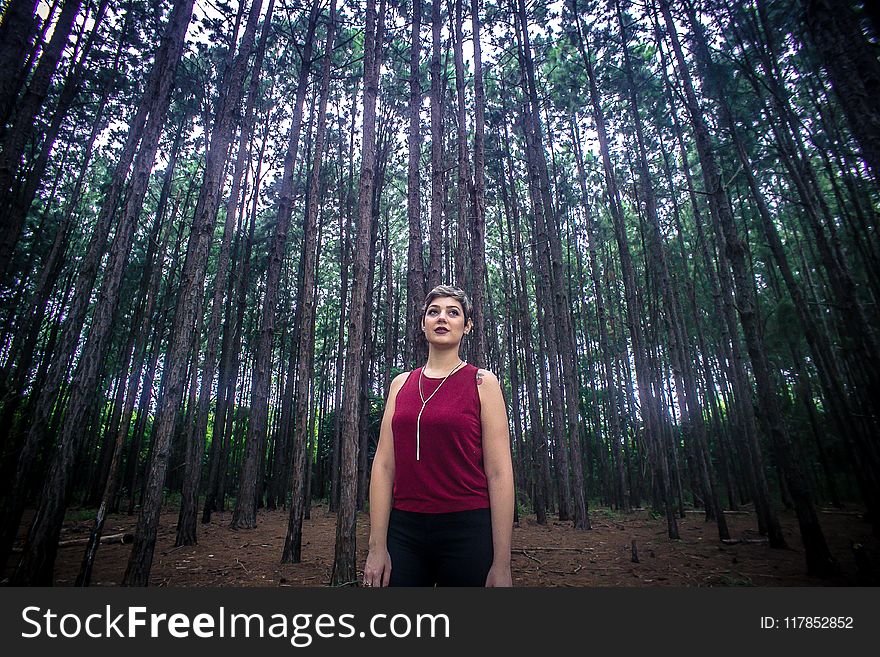 Woman Wearing Maroon Tank Top And Black Bottoms Surrounded With Brown Trees