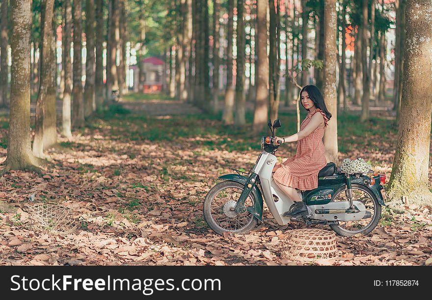 Woman Riding Underbone Motorcycle Between Trees