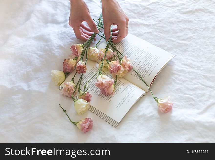 Pink-and-white Roses on Top of Open Book Nestled on White Textile