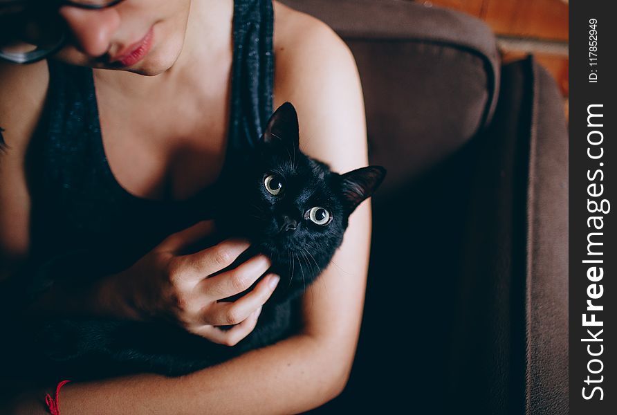 Person Carrying Black Cat