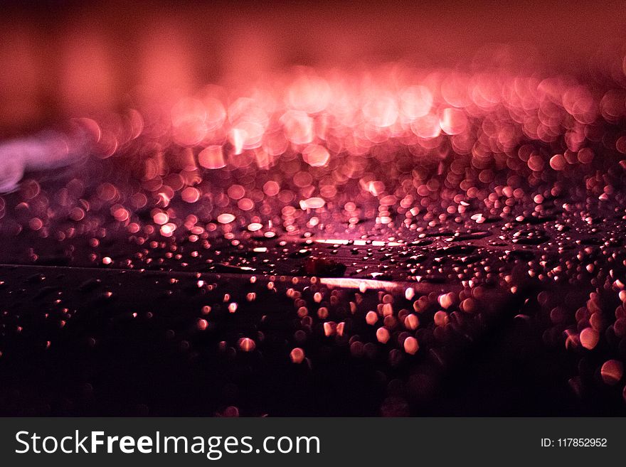 Close-up Photography of Red Water Droplets