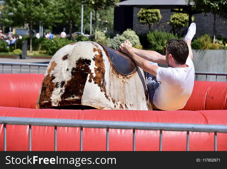 Man Riding Brown And White Electronic Bull