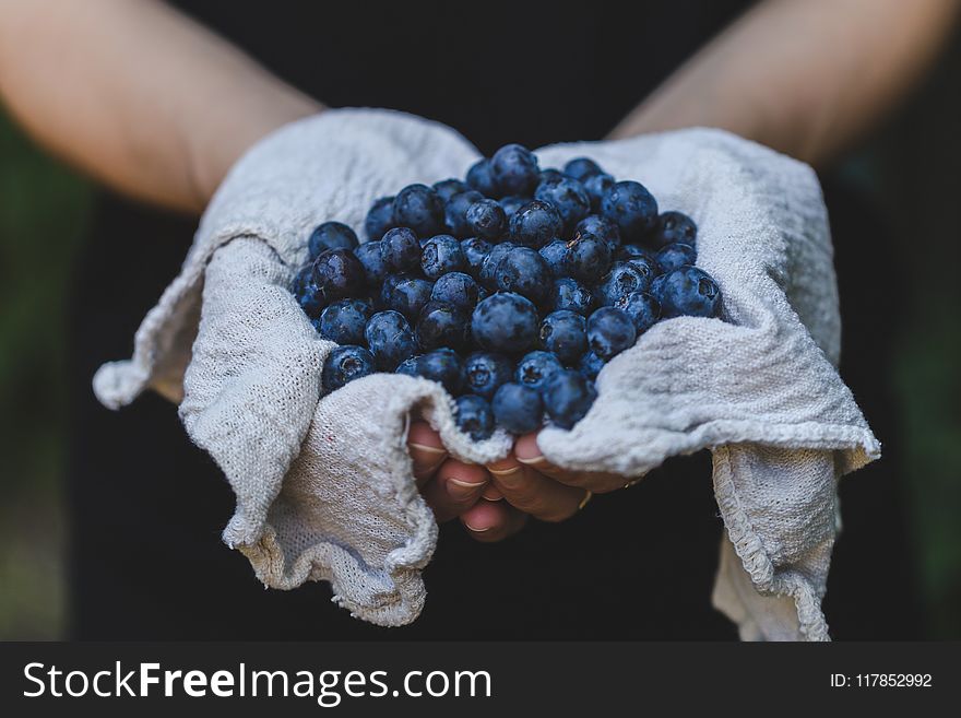 Person Holding Blueberries