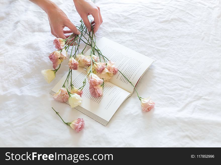 Pink-and-white Rose Flowers On White Printer Book