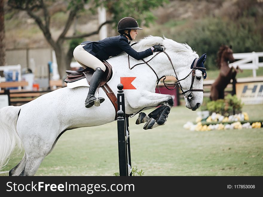 Woman Wearing Black Long-sleeved Blazer on White Horse