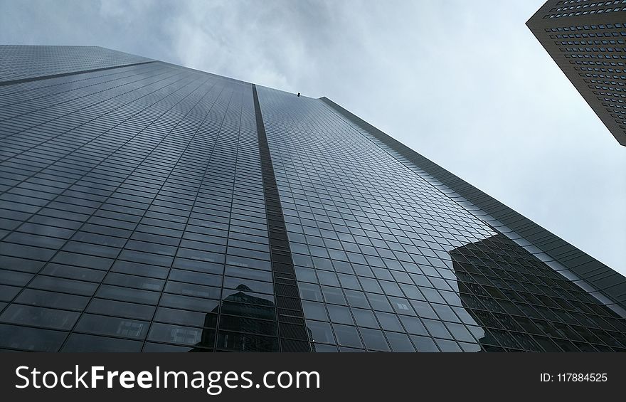 Skyscraper, Sky, Building, Daytime