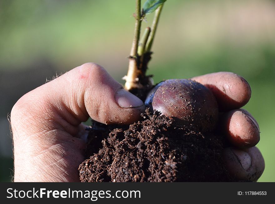 Soil, Finger