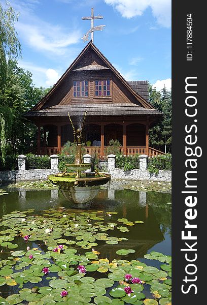 Reflection, Chinese Architecture, Water, Plant