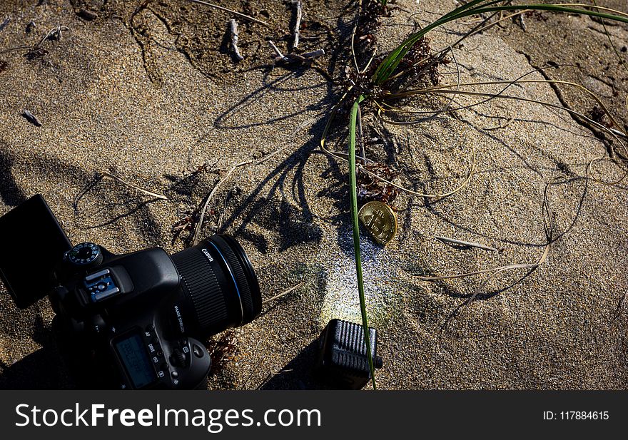 Soil, Tree, Photography, Plant