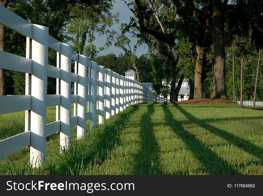 Property, Grass, Architecture, Lawn