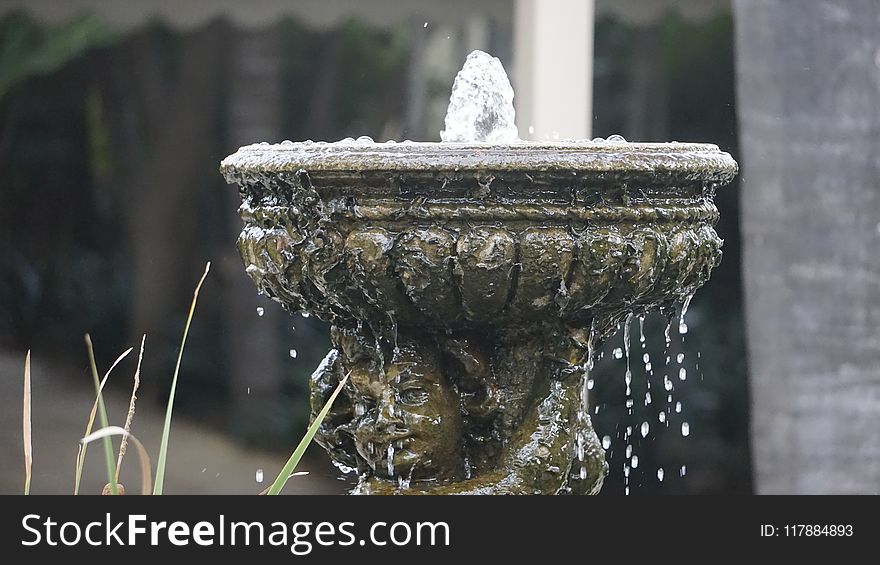 Water, Fountain, Freezing, Water Feature
