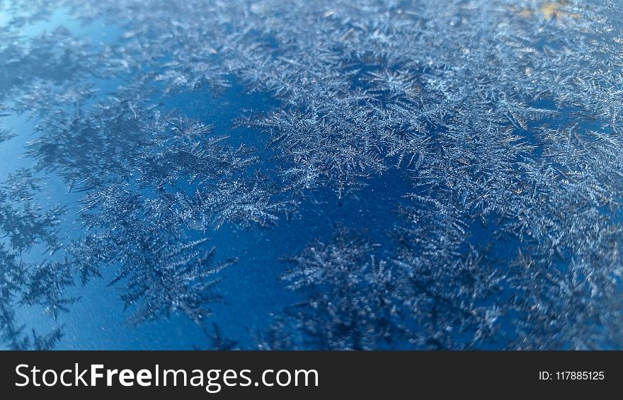 Blue, Frost, Freezing, Winter