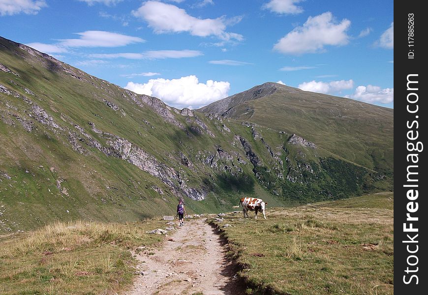 Grassland, Highland, Ridge, Mountainous Landforms