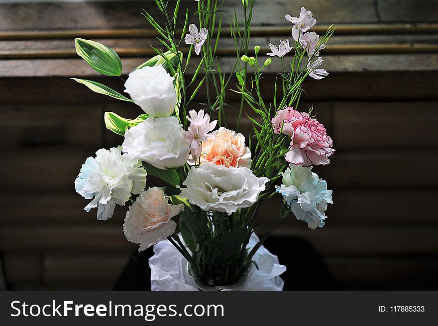 Flower, Flower Arranging, Floristry, Flowering Plant