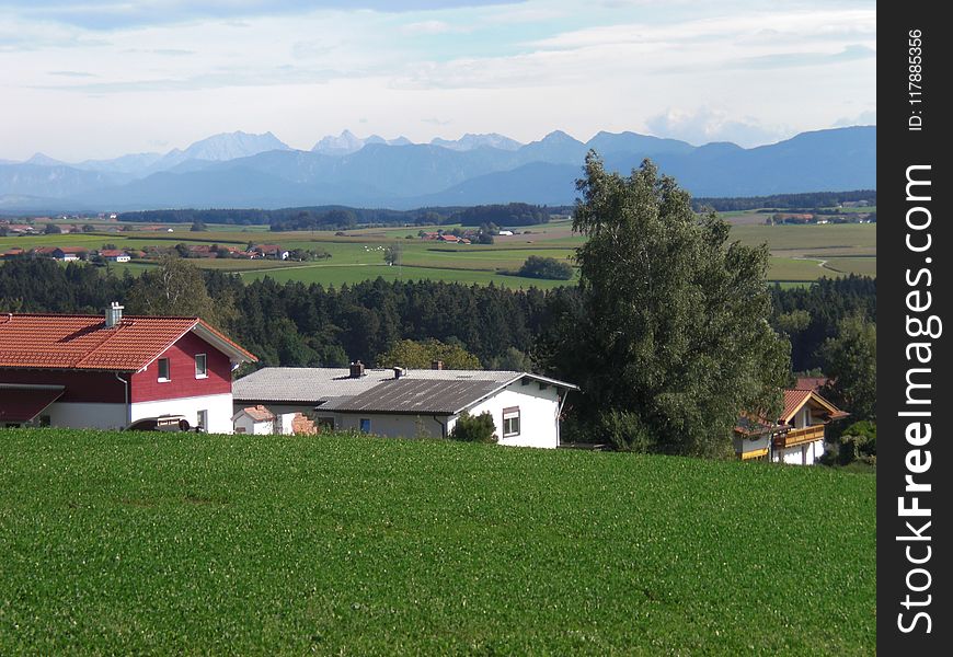 Grassland, Farm, Field, Property