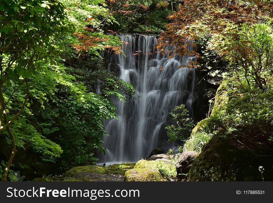 Waterfall, Water, Nature, Vegetation