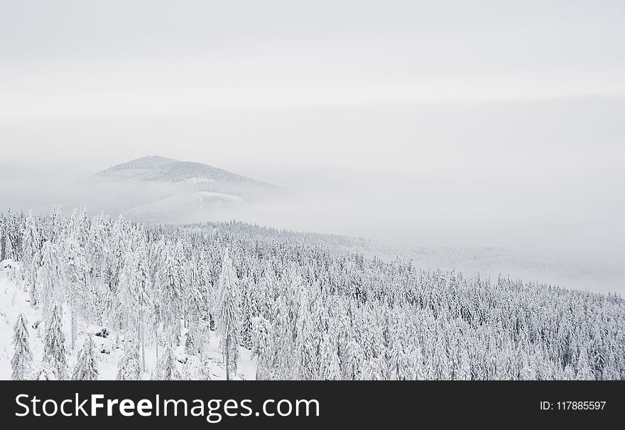 Winter, Snow, Sky, Freezing