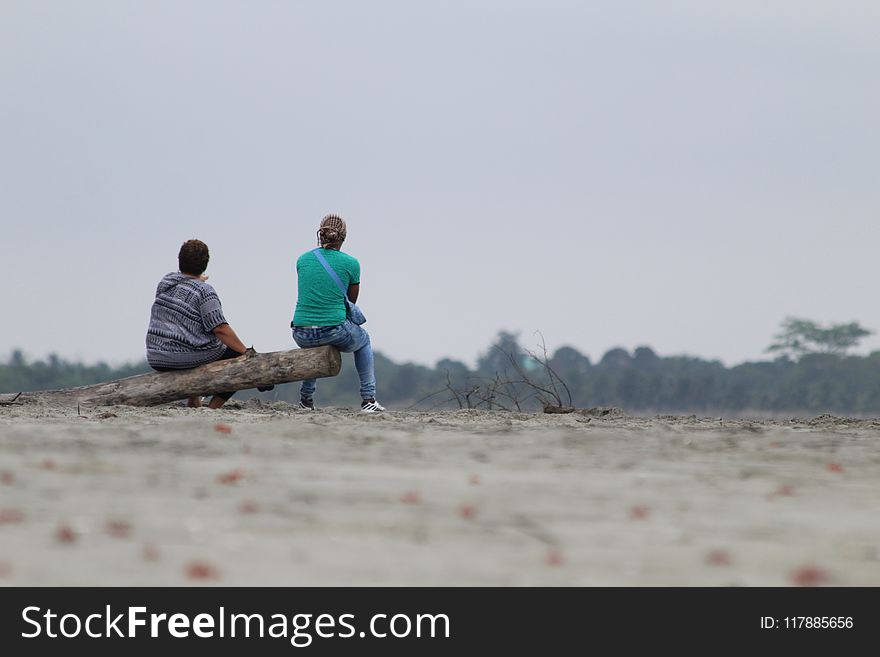 Man, Beach, Shore, Sand