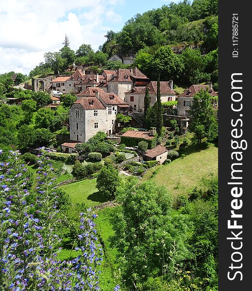 Vegetation, Mountain Village, Village, Tree