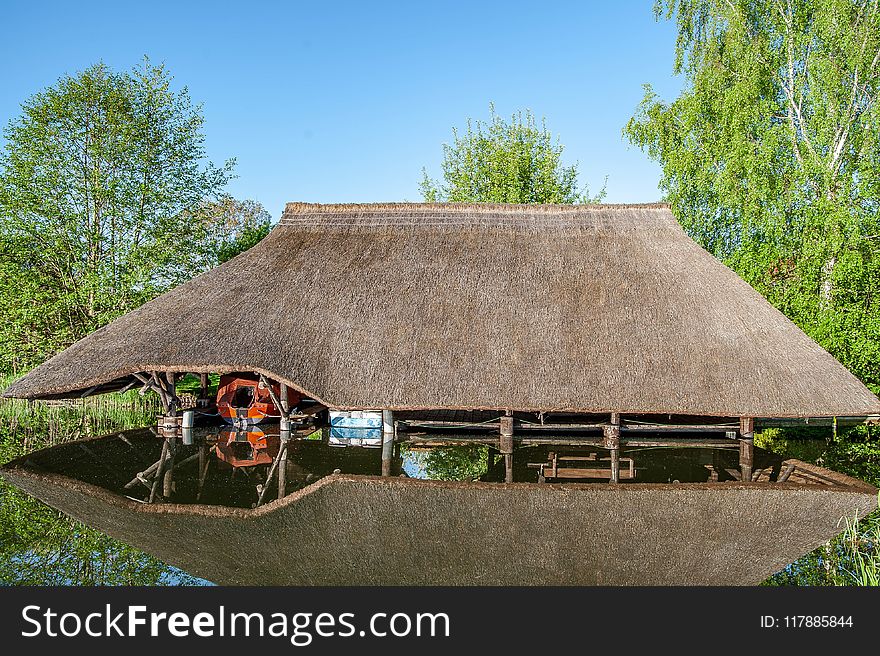 Thatching, Tree, Roof, Cottage