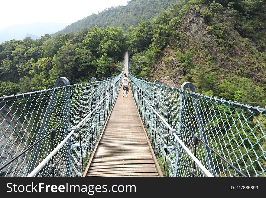 Bridge, Suspension Bridge, Nature Reserve, Rope Bridge