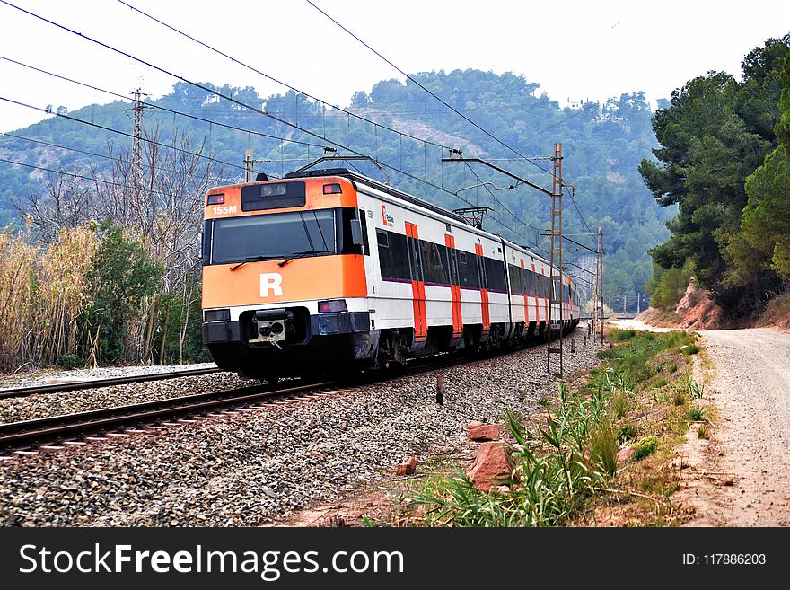 Track, Transport, Train, Rail Transport