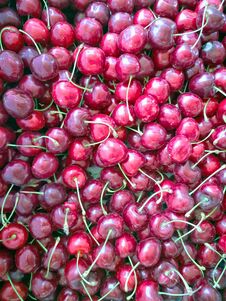 A Large Collection Of Fresh Red Cherries. Background Of Ripe Cherries. Stock Photo