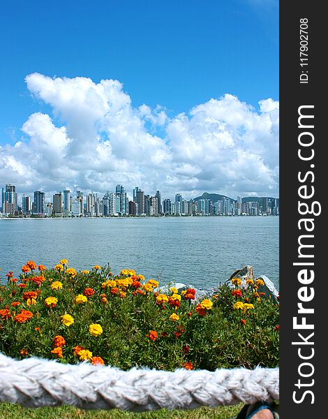 Beautiful view of CAMBORIU, SANTA CATARINA, BRAZIL. Panoramic view of Camboriu city in the south of Brazil. Skyline. Flowers in foreground. Beautiful view of CAMBORIU, SANTA CATARINA, BRAZIL. Panoramic view of Camboriu city in the south of Brazil. Skyline. Flowers in foreground.