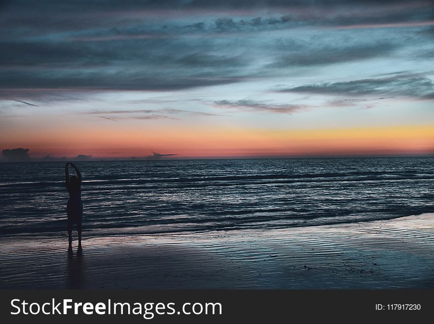 Silhouette of Person on Seashore during Golden Hour