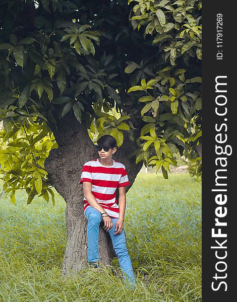 Man Wearing White and Red Stripe Crew-neck Shirt, Blue Denim Jeans, and Black Wayfarer-style Sunglasses Sitting Tree