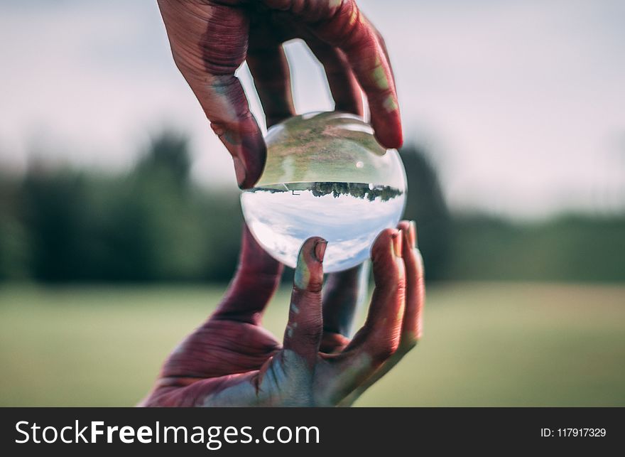 Person Holding Clear Ball in Shallow Focus Photography