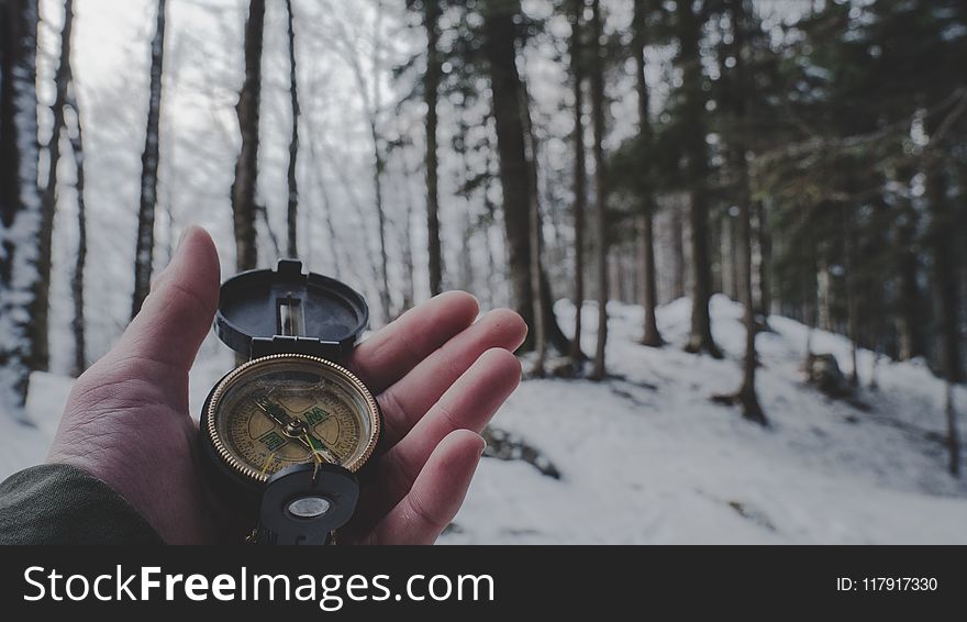 Person Holding Compass in Forest