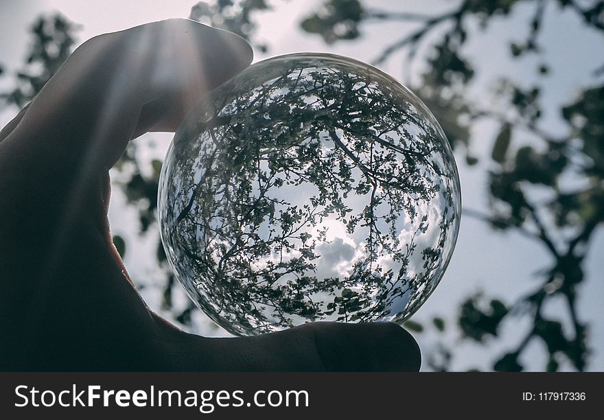 Grayscale Photography of Clear Glass Ball