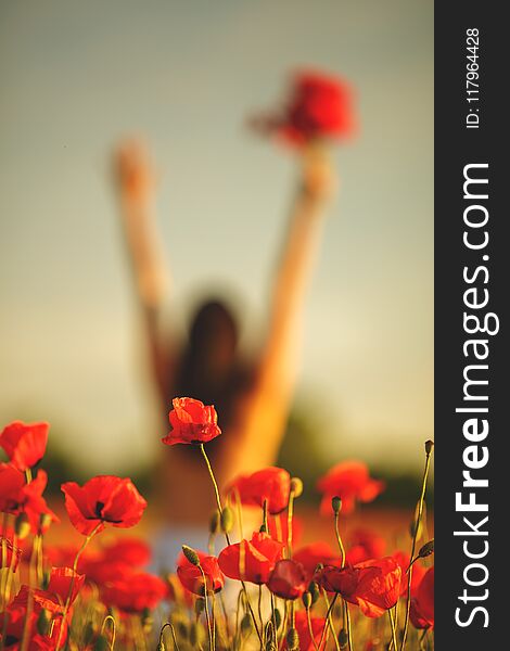 Woman in a field with poppies at sunset, in the sun, soft focus