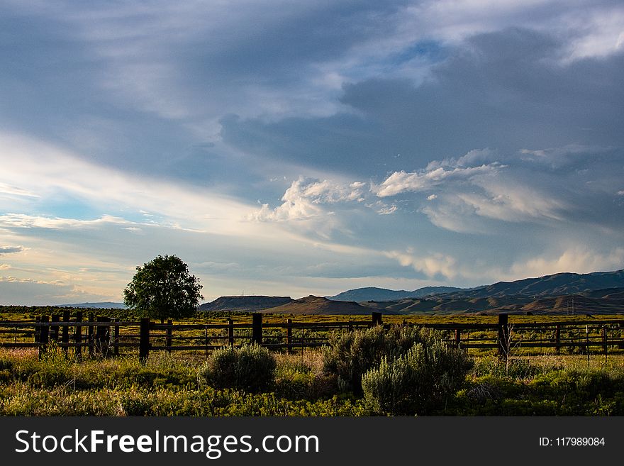 Green Field Under Gray Clouds