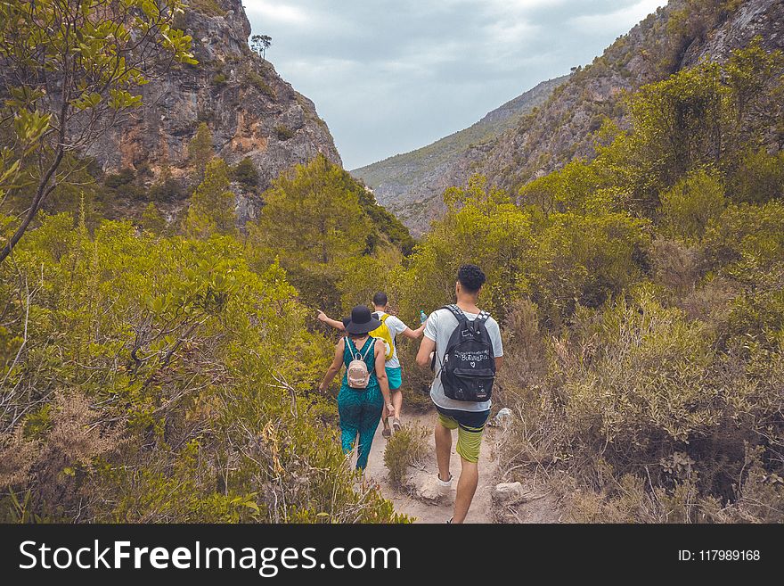 Two Men and Woman Walking Surrounded by Mountain and Trees