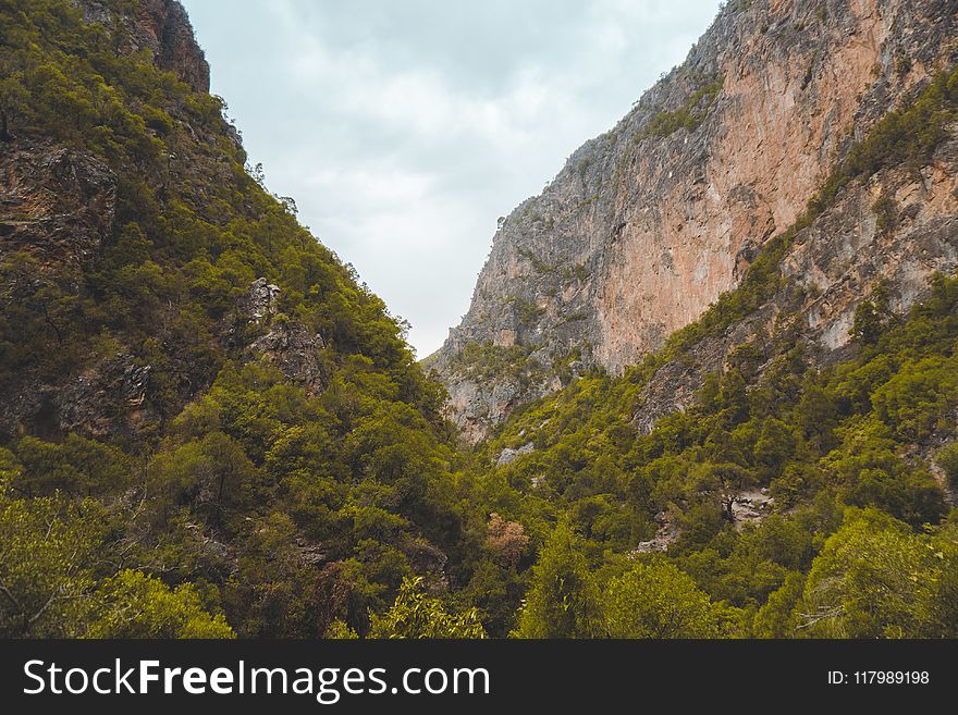 Green Trees on Rock Formation Mountain