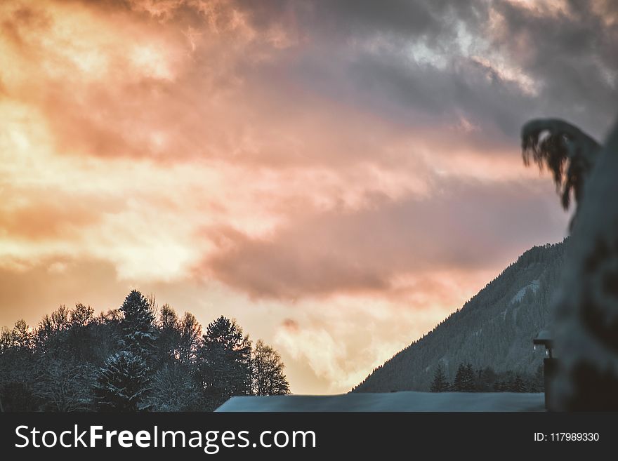 Mountain Surrounded By Trees