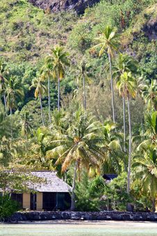 Tropical House On The Beach Stock Photos Tropical House On The Beach Stock Photos