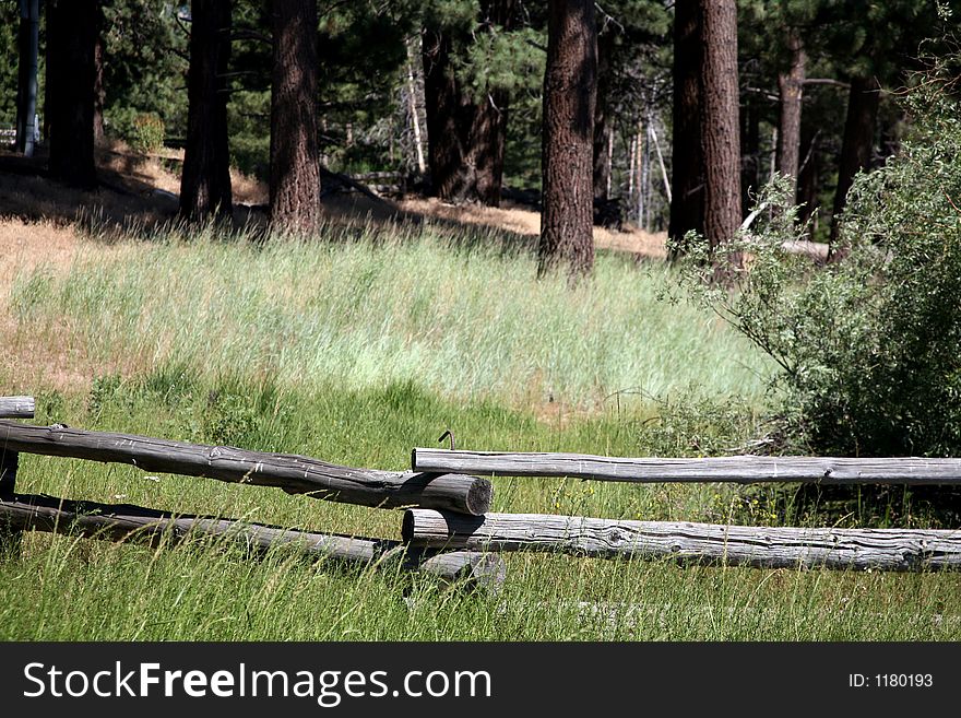 Rustic wooden fence with wilderness in the background
