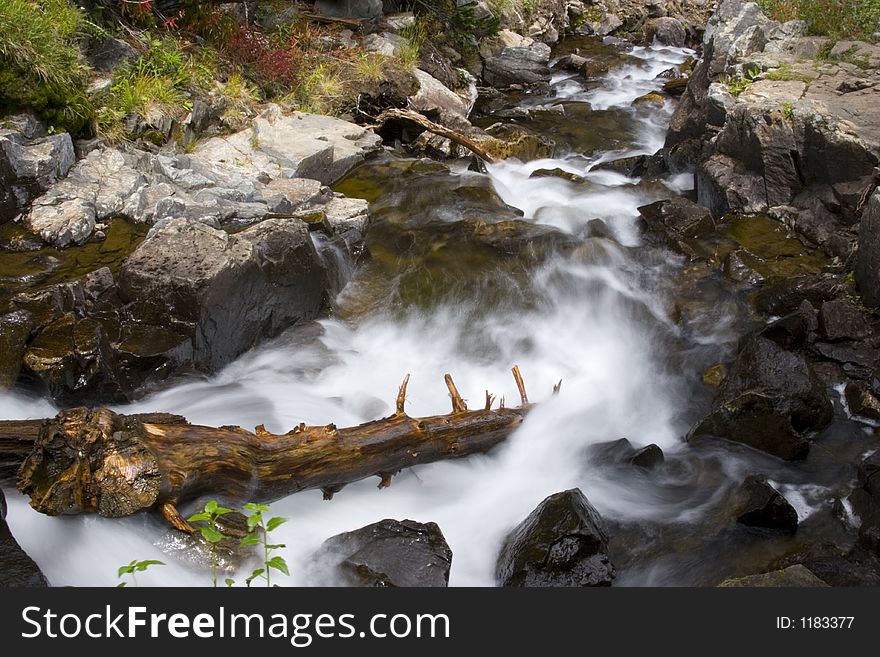 A roaring rapid in spruce creek colorado. A roaring rapid in spruce creek colorado
