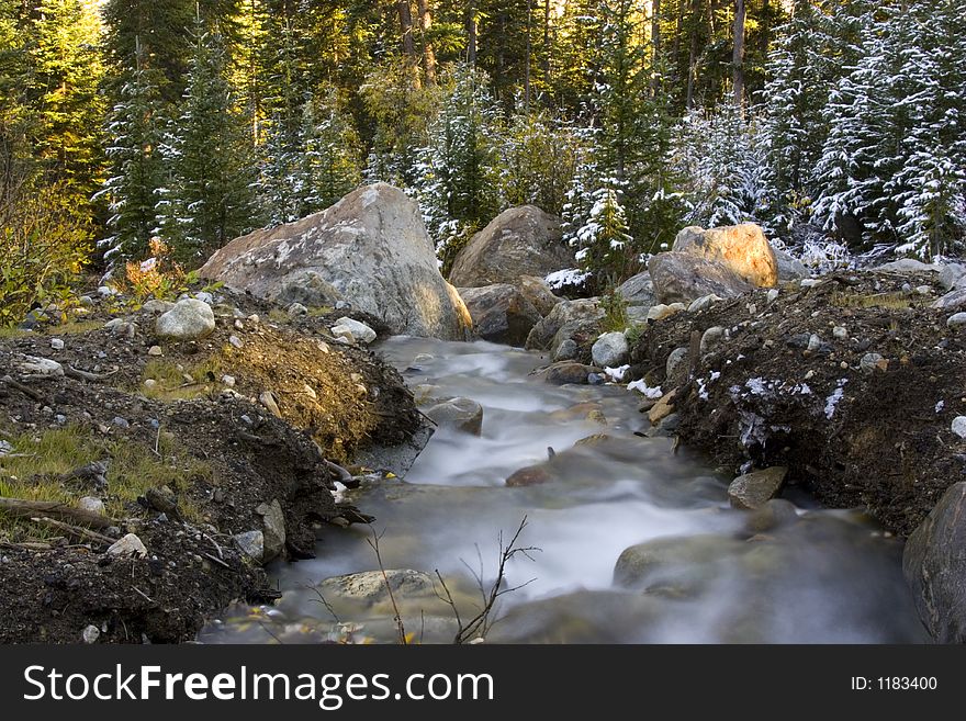 A stream accented by snowcovered evergreens. A stream accented by snowcovered evergreens