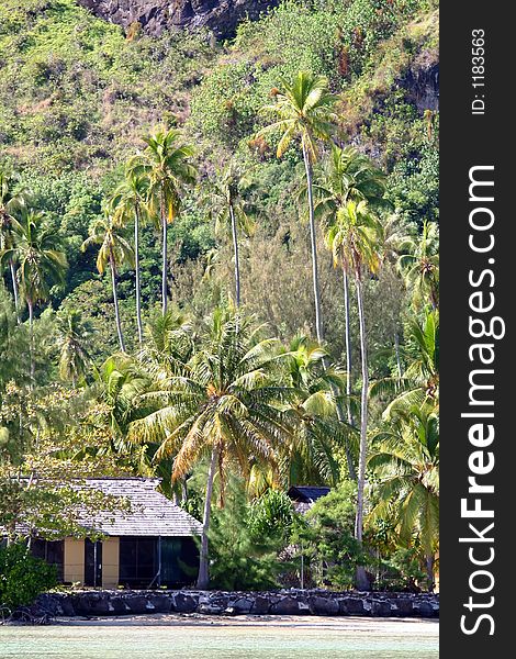 Tropical house on the beach, along the lagoon